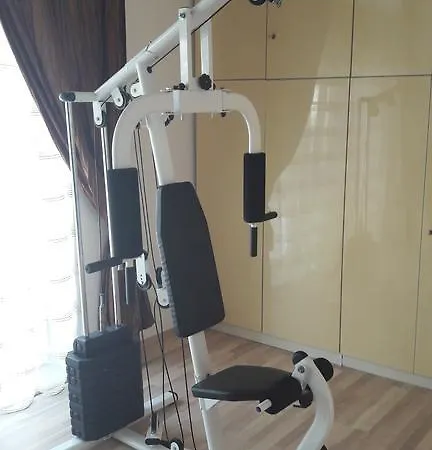 Luxury 2 公寓 维尔纽斯